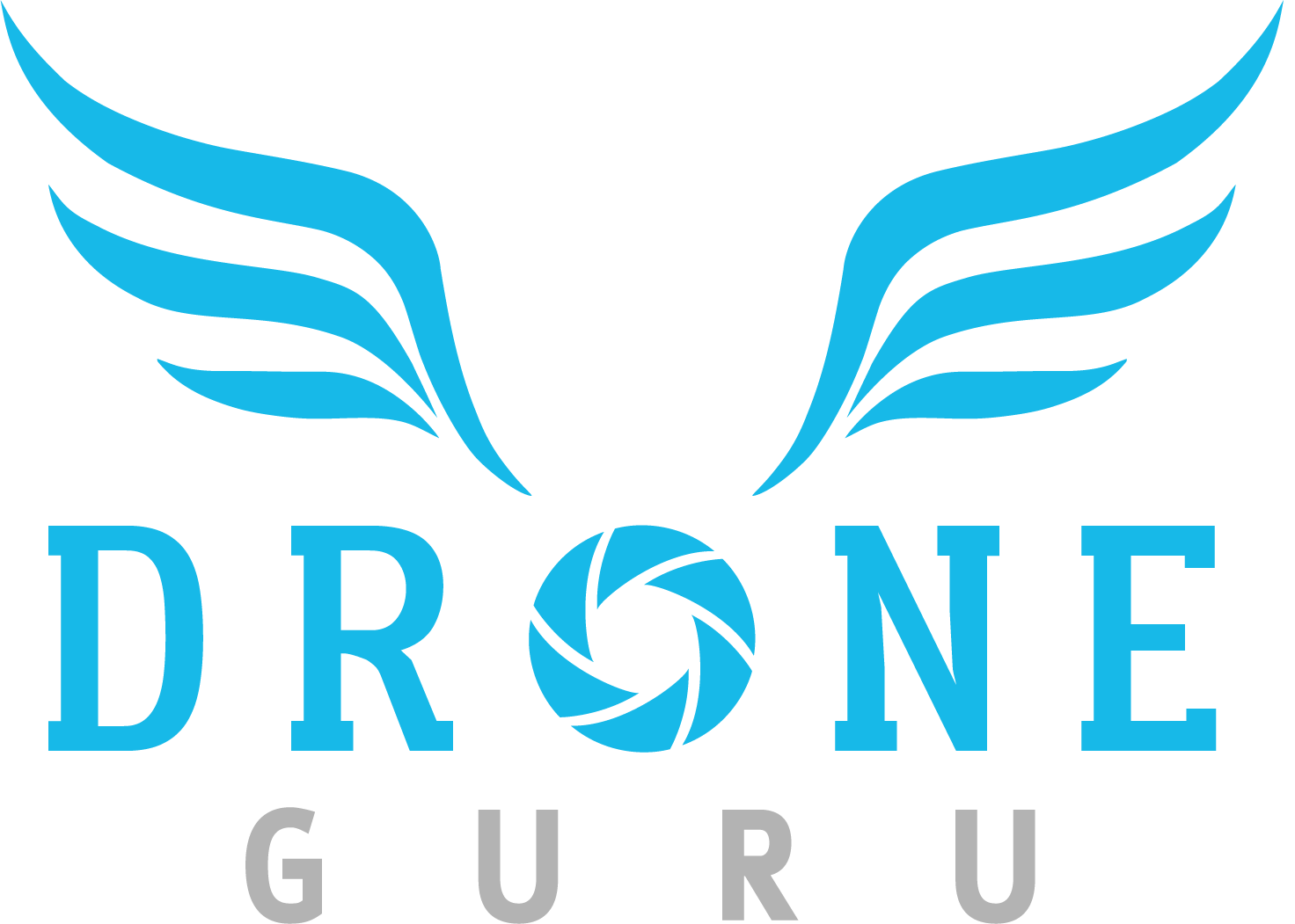 logo droneguru